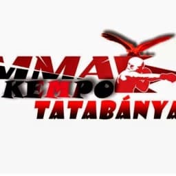 KEMPO MMA és BJJ SE Tatabánya logo