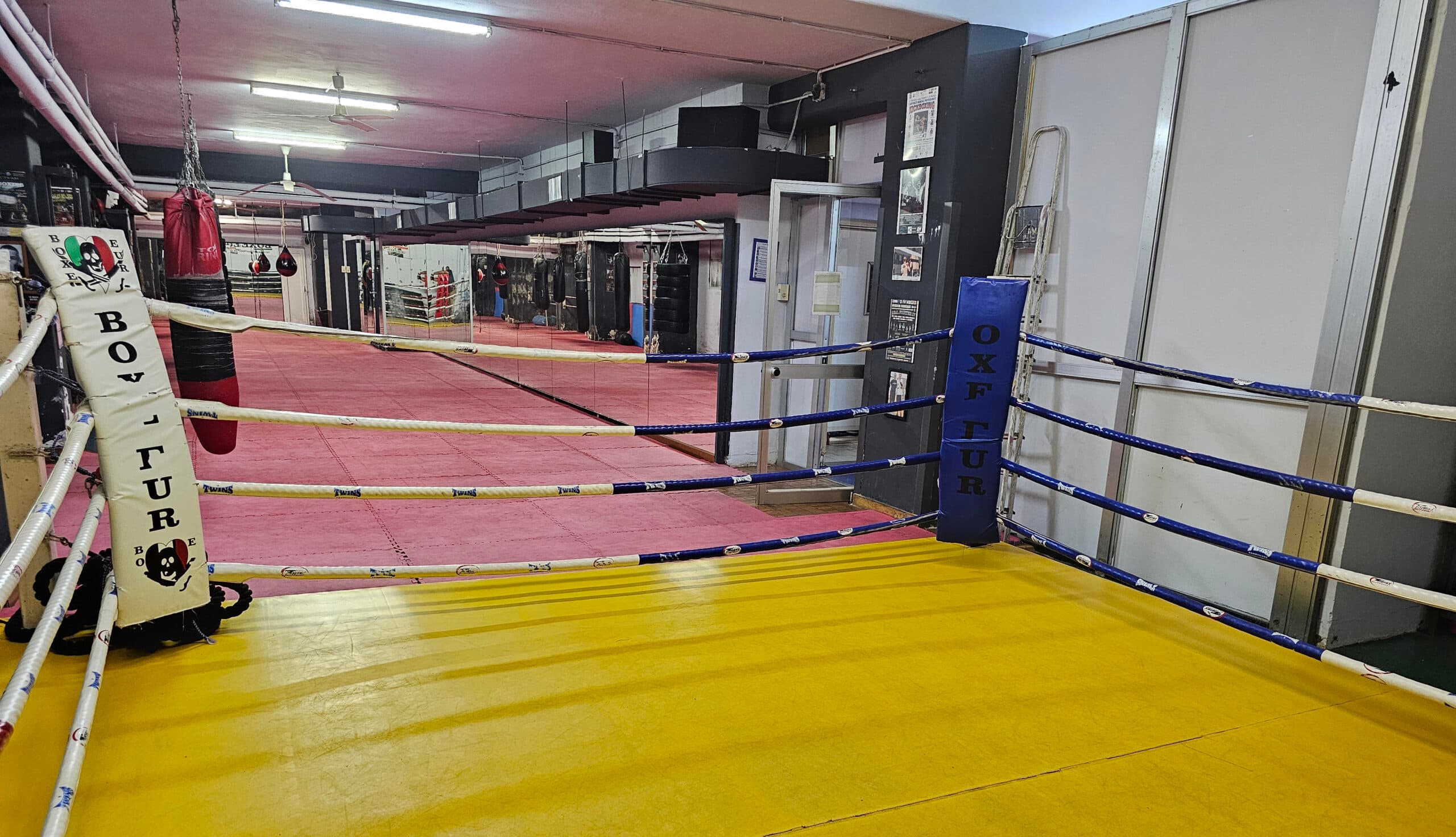 Main image of Kickboxing Academy Roma