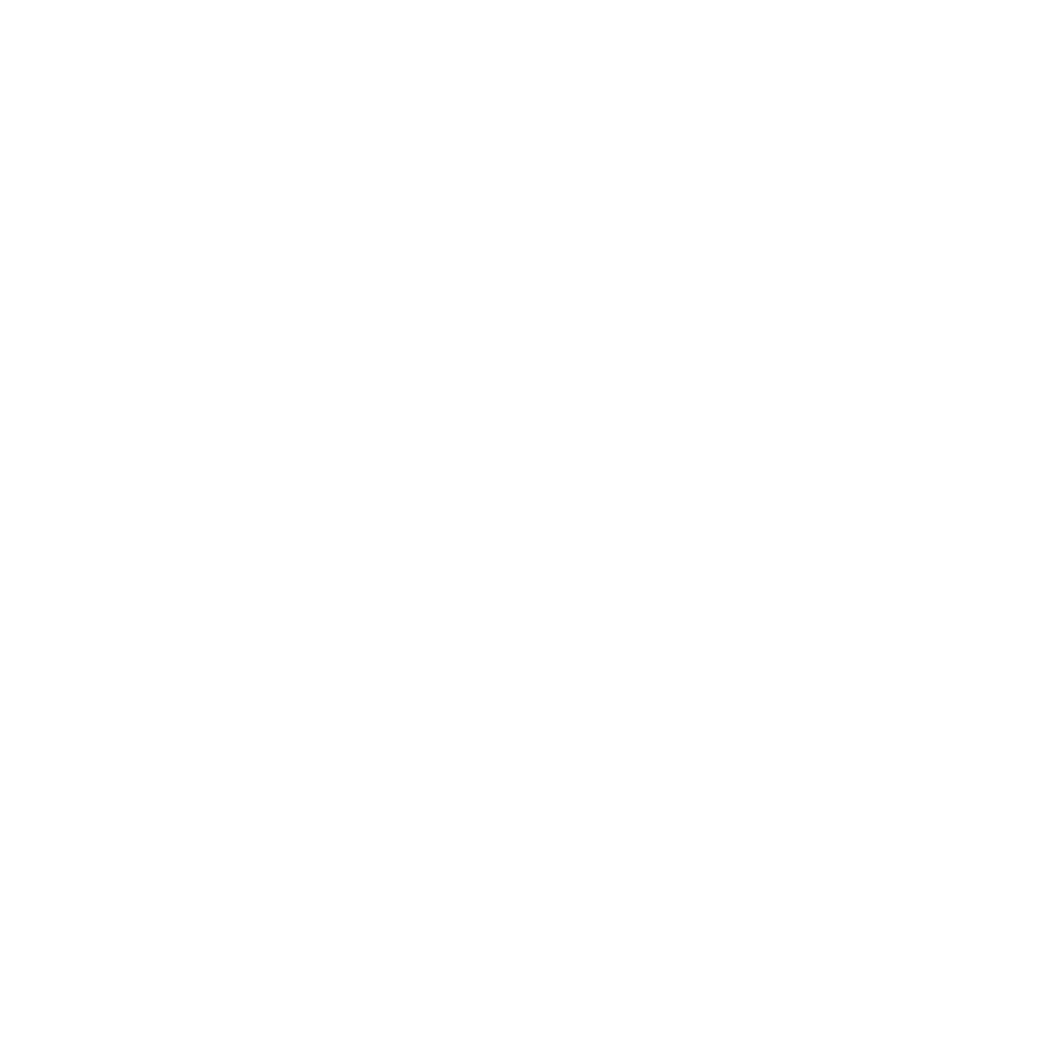 Kickboxschule Lysbüchel logo