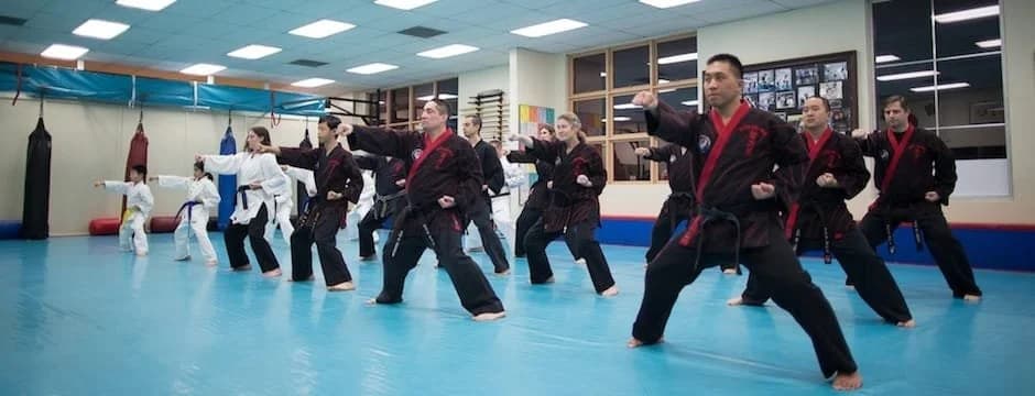 Kim's Hapkido Karate Studio logo