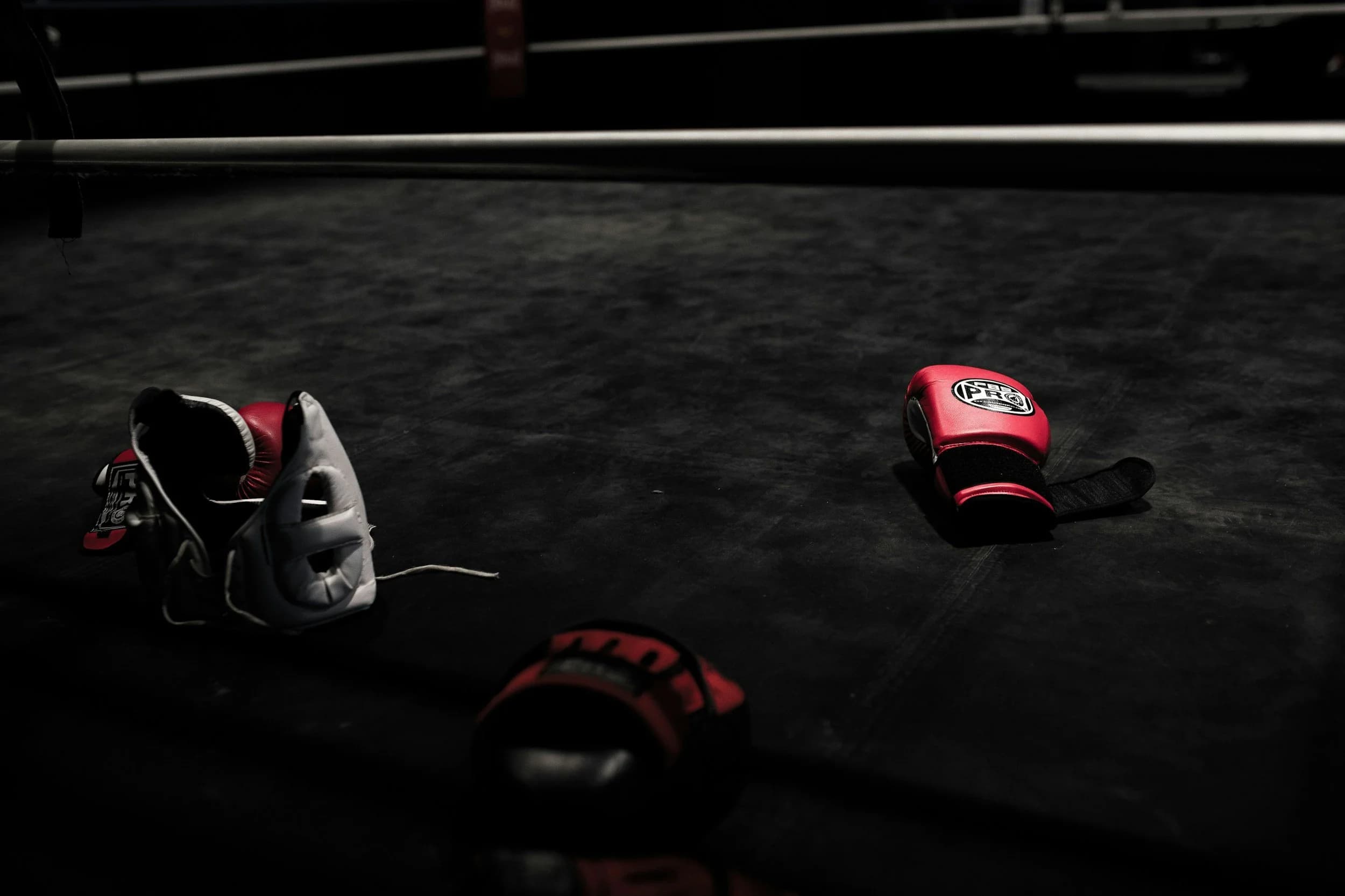 Main image of Kings MMA