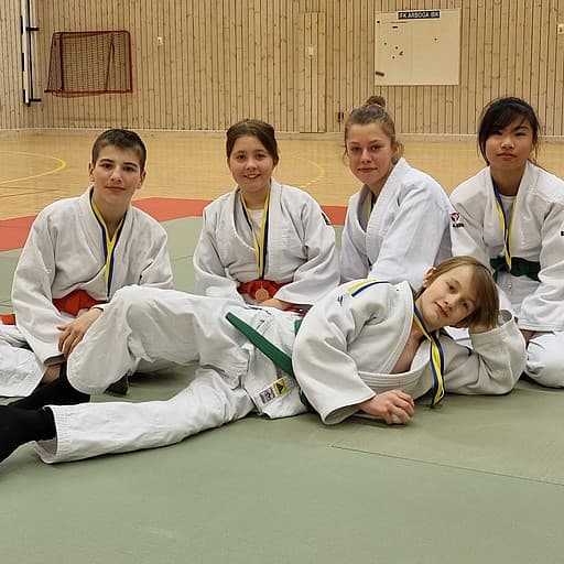 Main image of Knivsta Judoklubb