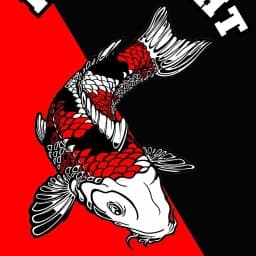 Koi fight team logo