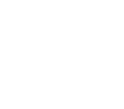 Kokugikan e. V., Mitsuyoshi Aoki logo