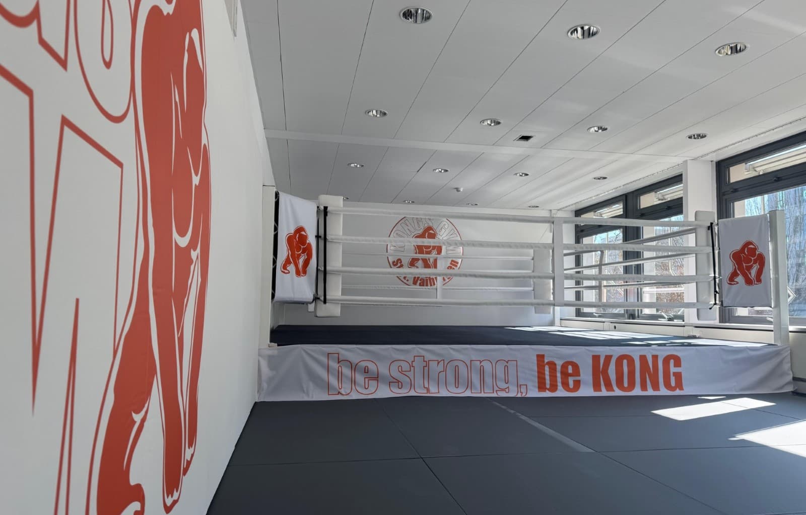 Main image of Kongs Gym Stuttgart Vaihingen