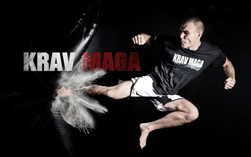 Krav Maga International - Eindhoven logo