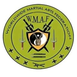 Kungfu Shaolin Academy of martial arts logo