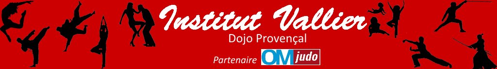 Main image of L'INSTITUT VALLIER Dojo Provençal