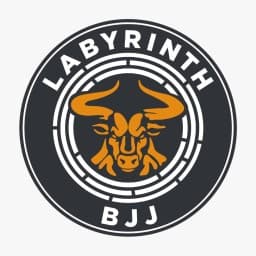 Labyrinth BJJ Lurgan logo