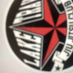 Lake Travis Jiu Jitsu Club logo