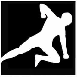Larvik Kampsport logo