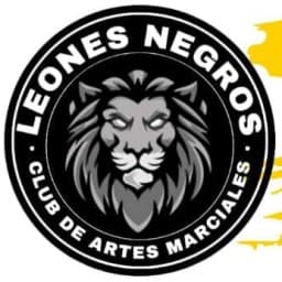 LEONES NEGROS SHEN HAR EL VALLE logo