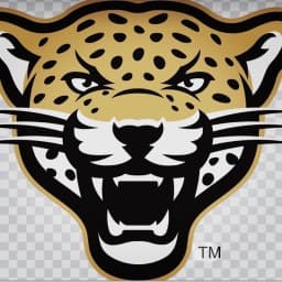 Leopard Jiu Jitsu logo