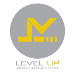 Level Up Brazilian Jiu Jitsu Houston logo