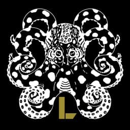Leverage / TDBJJ logo