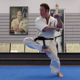 Ligo Dojo of Budo Karate logo