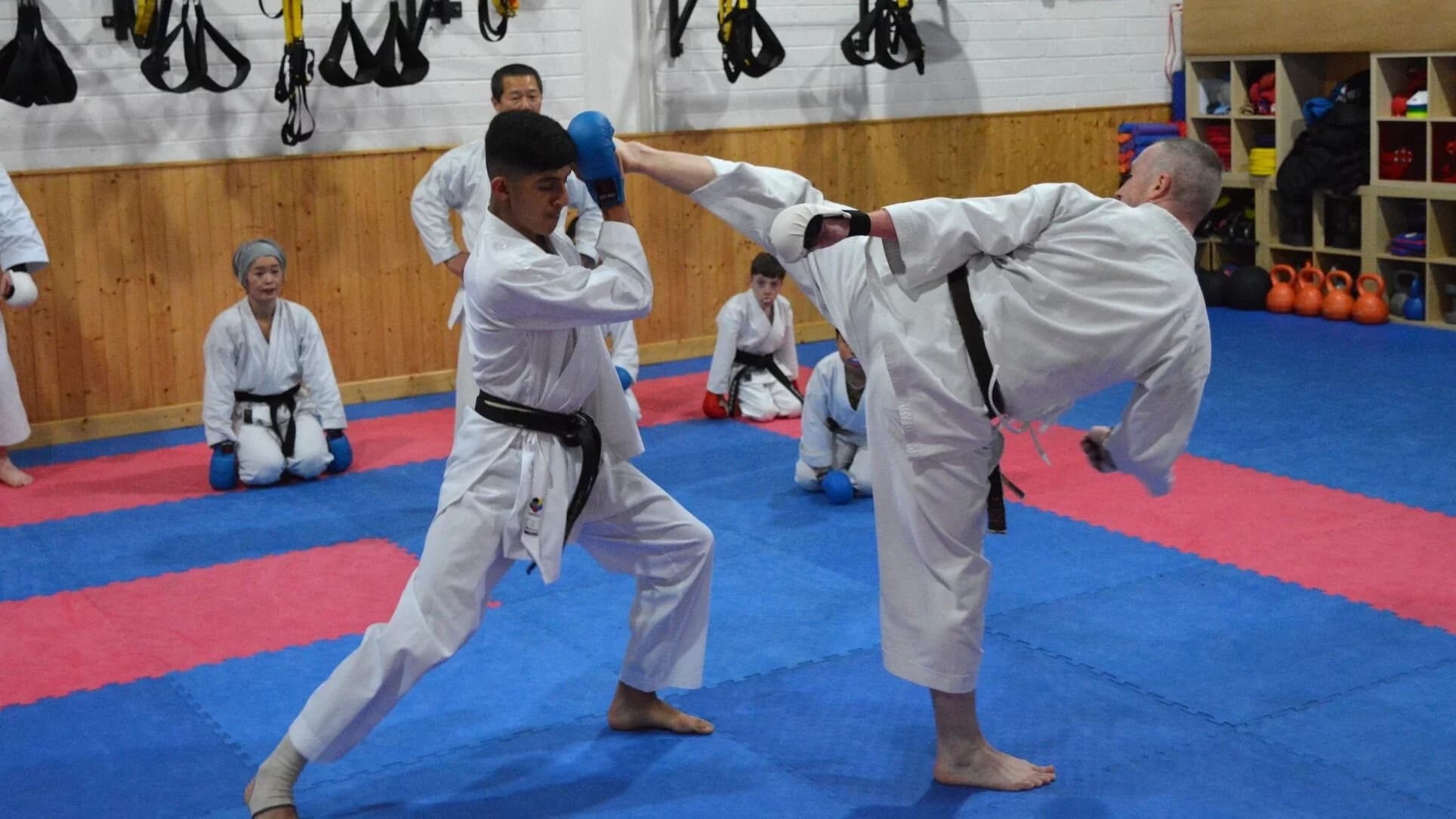 Main image of Limerick Shotokan Karatedo Shojinkai