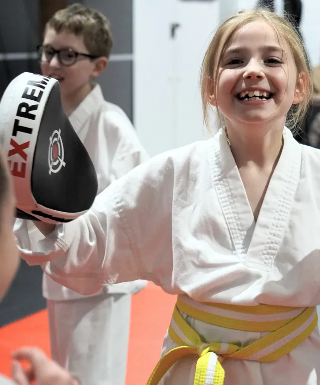 Main image of Limitless Martial Arts