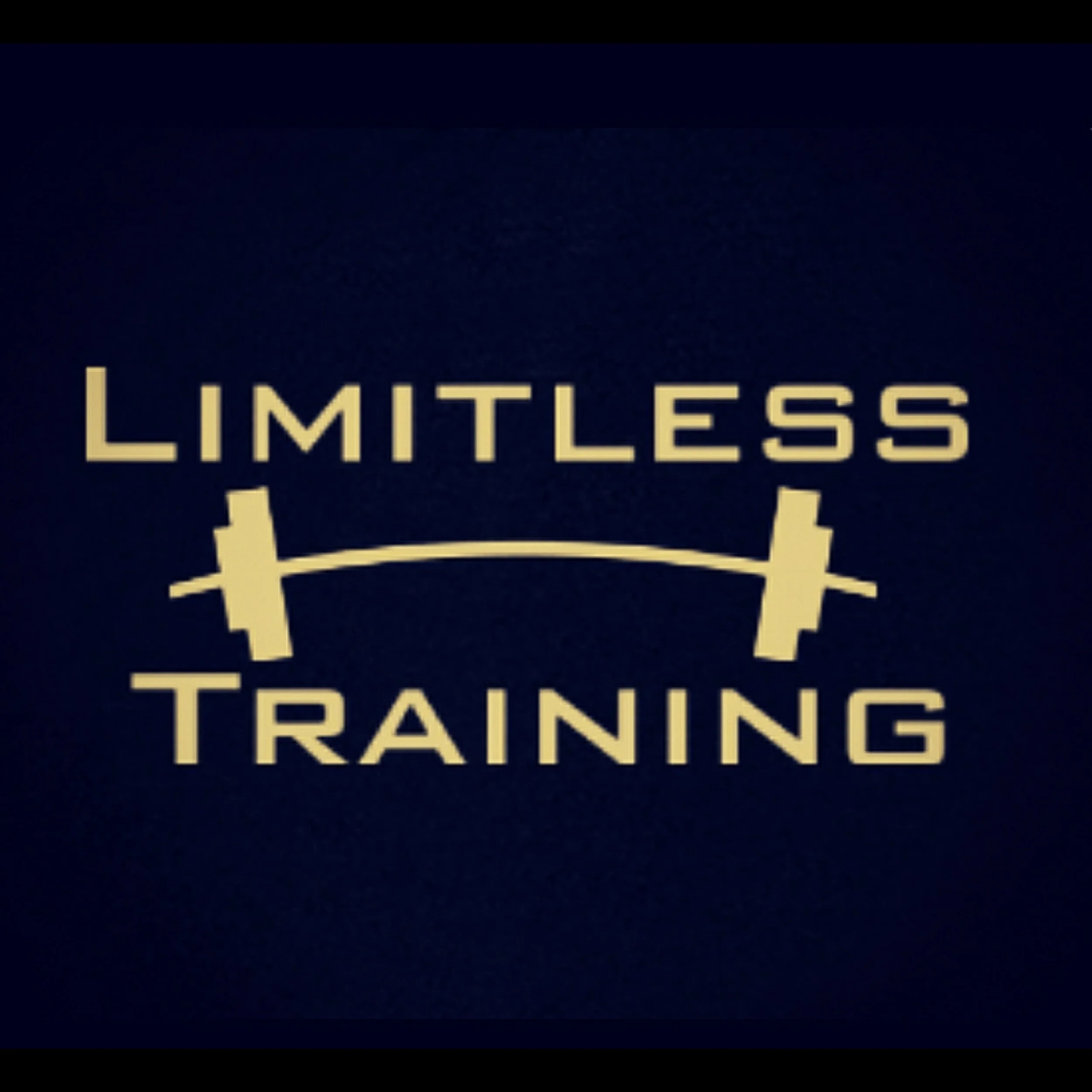 Limitless Training, LLC logo