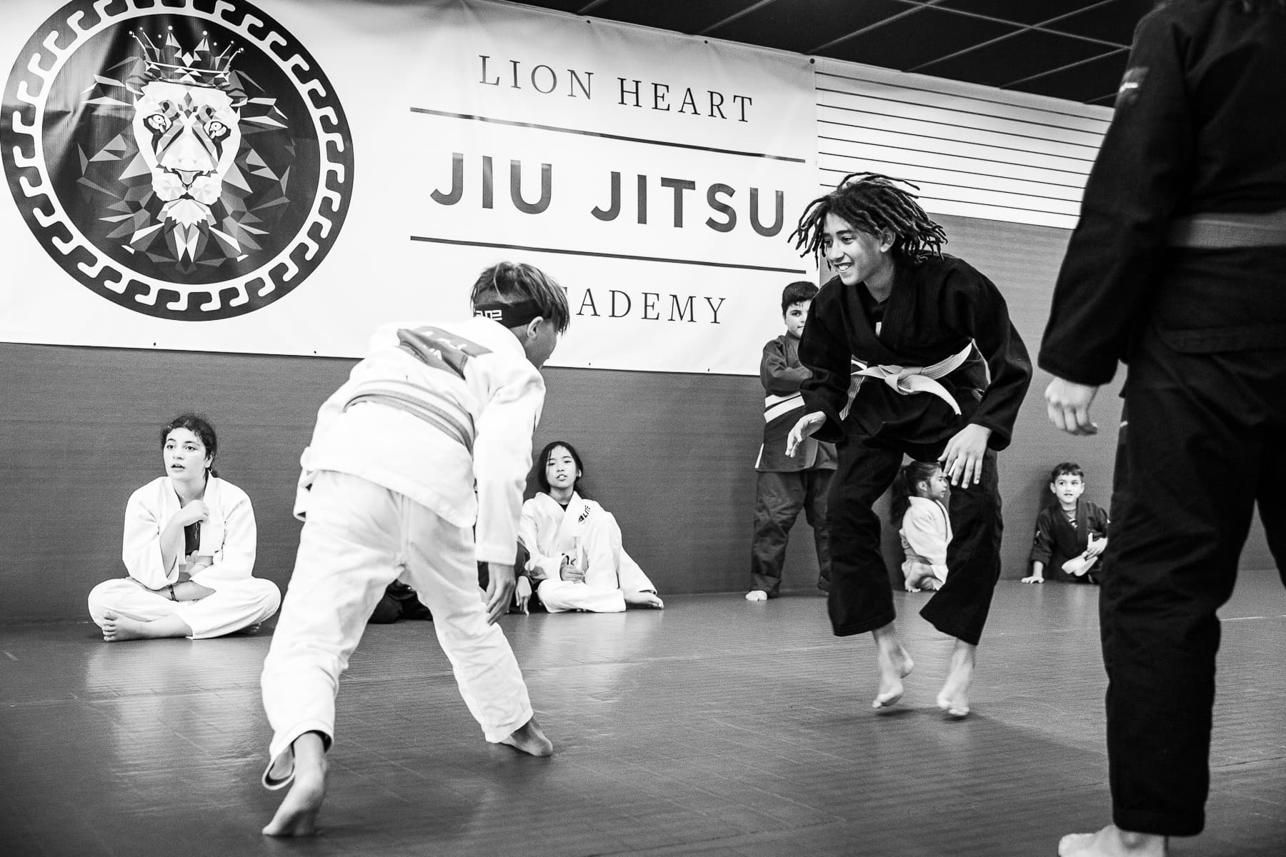 Lion Heart Jiu Jitsu Academy logo