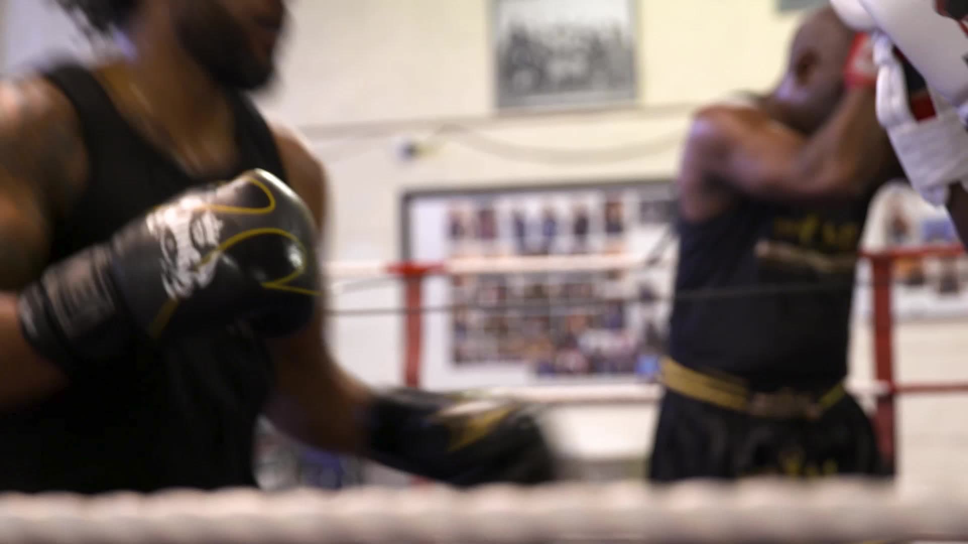 LionHeart Muay Thai Academy logo