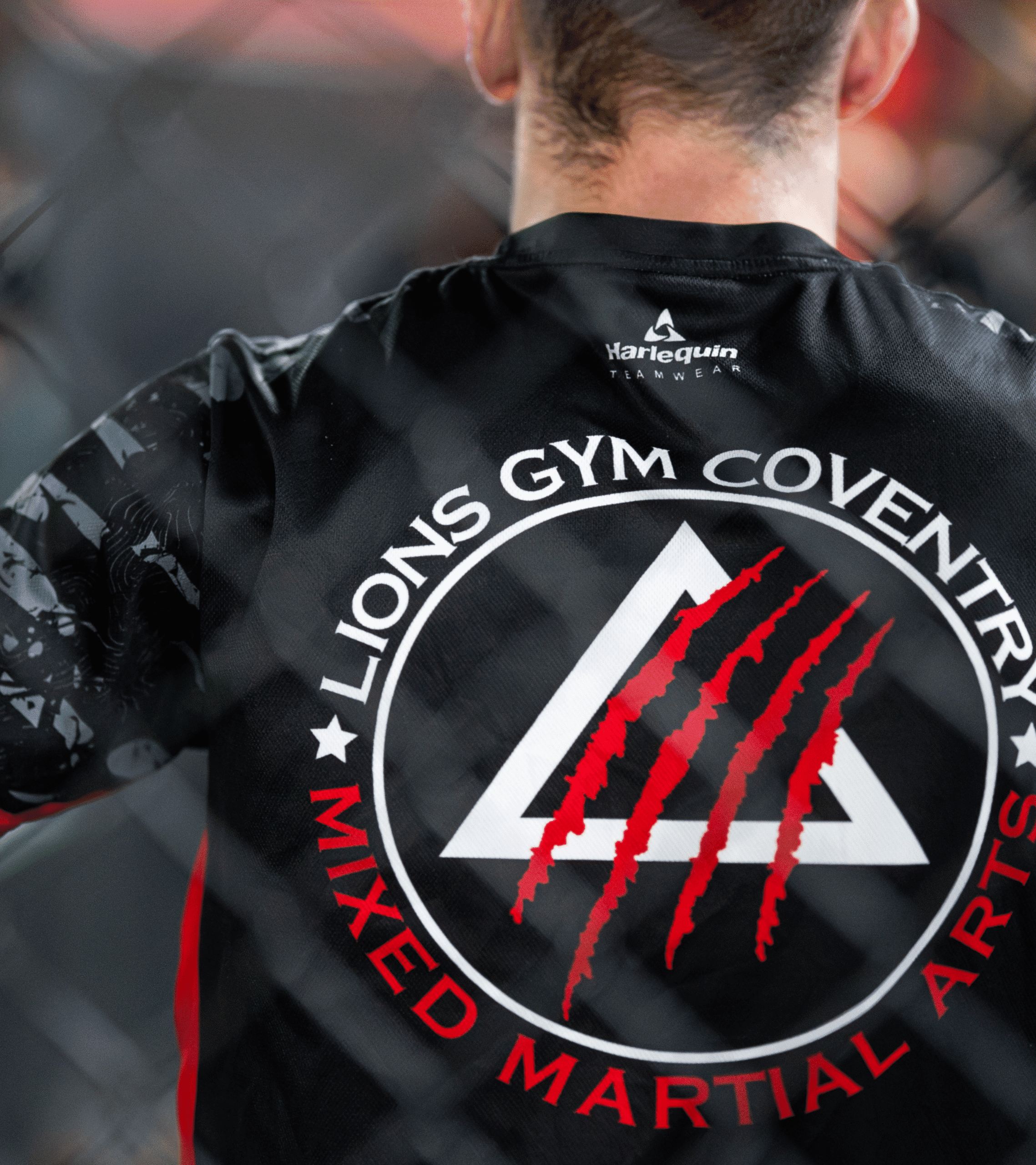 Main image of Lions Gym Mixed Martial Arts Coventry