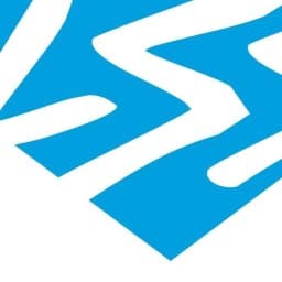 Little Sweatshop BJJ logo