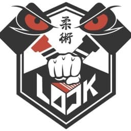 Lock BJJ logo
