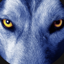LoneWolf Wrestling logo