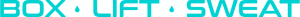 LVFiT logo