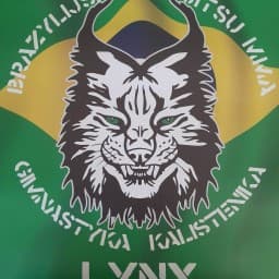 LYNX MMA Augustów logo