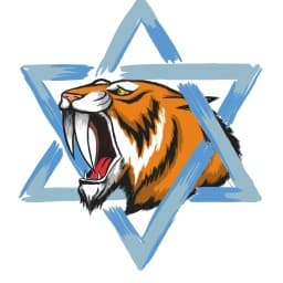 Macabi Nof hagalil logo