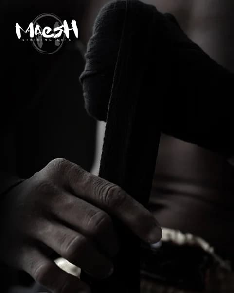 Main image of MAESH Striking Arts