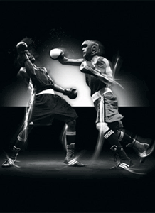 Main image of MAESTRO Sports - Martial Arts Specialist