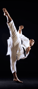 MAESTRO Sports - Martial Arts Specialist logo