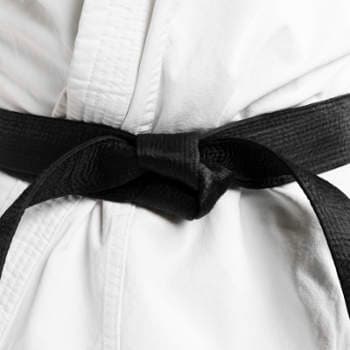 Main image of Manin Judo