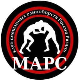 MARS TEAM logo