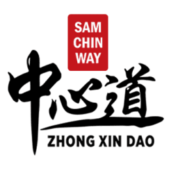 Martial Art of Awareness (I Liq Chuan logo
