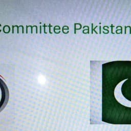 Martial Arts Committee Pakistan NMAC logo