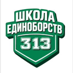 Martial Arts School 313 logo