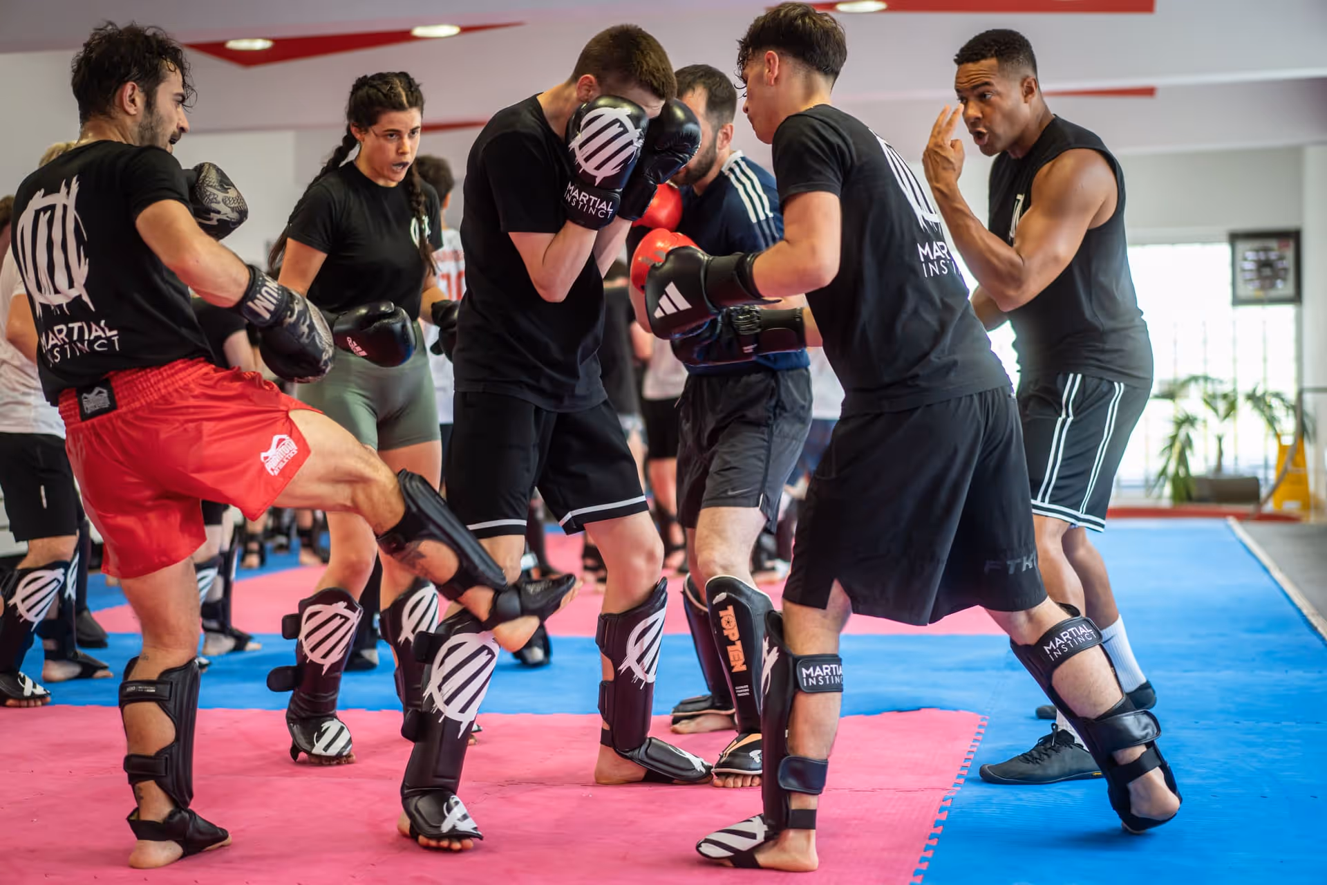 Main image of Martial Instinct Center