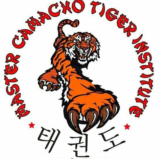 Main image of Master Camacho Taekwondo