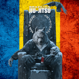 Matside Petroșani - Pantera Neagră logo