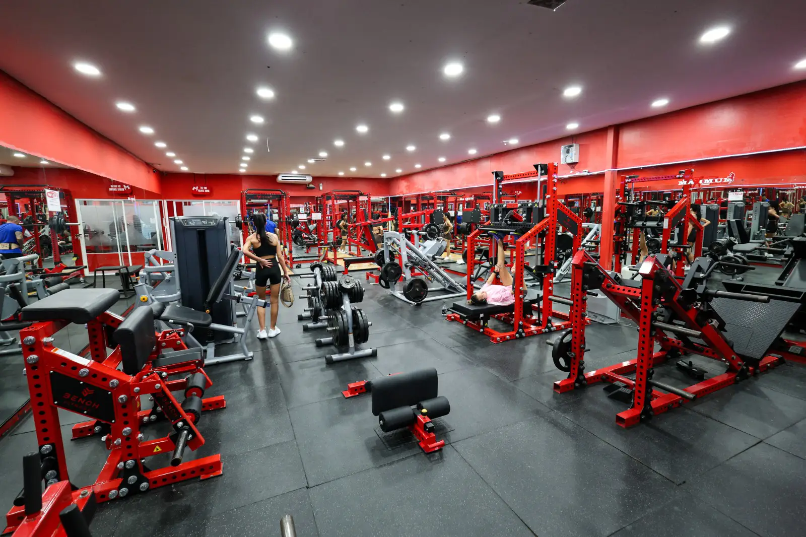 Main image of Maximum Fitness