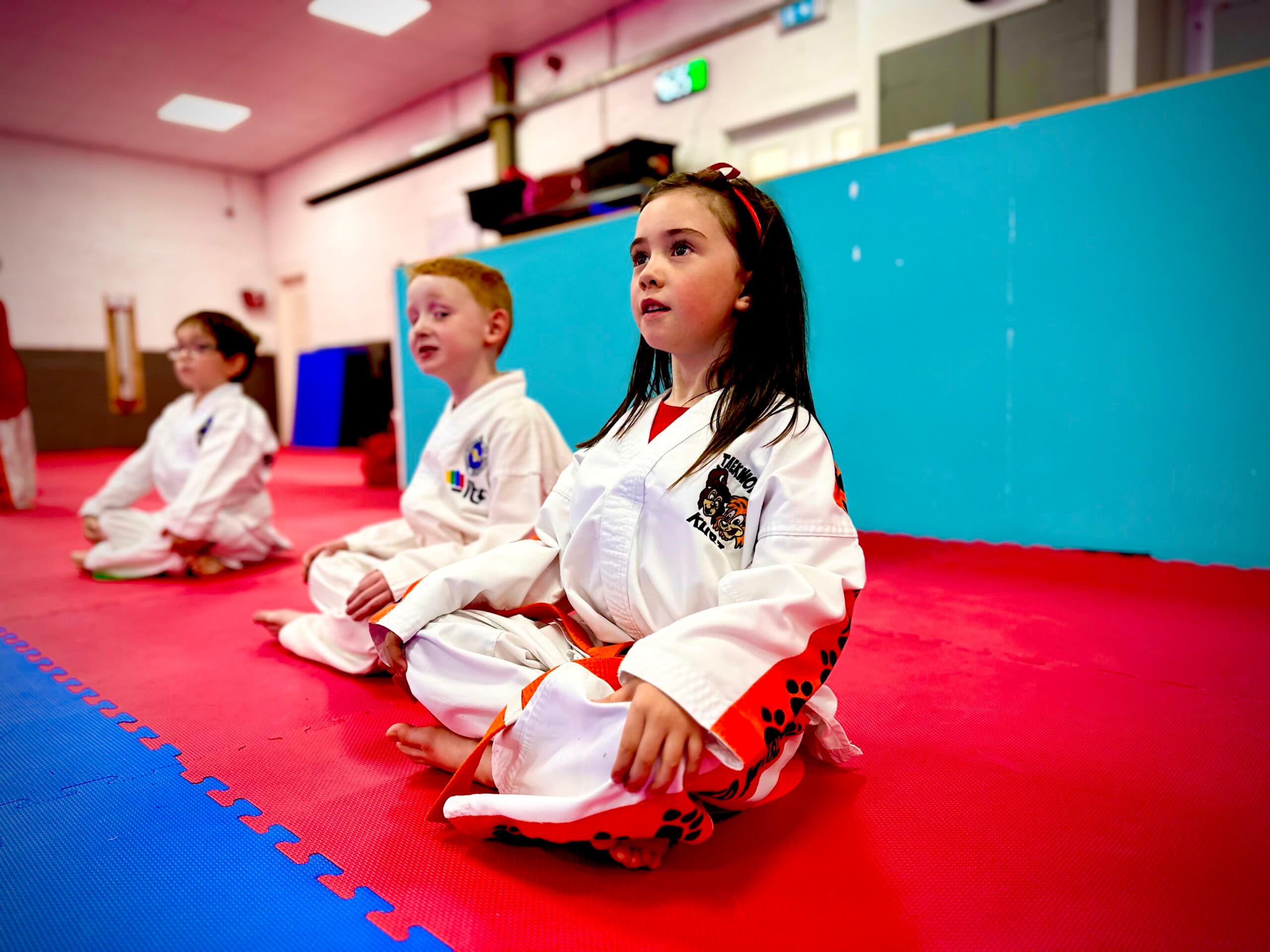 Main image of McGowans Black Belt Academy