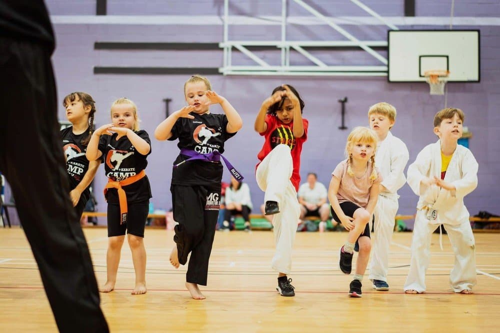 Main image of MG Black Belt Academy