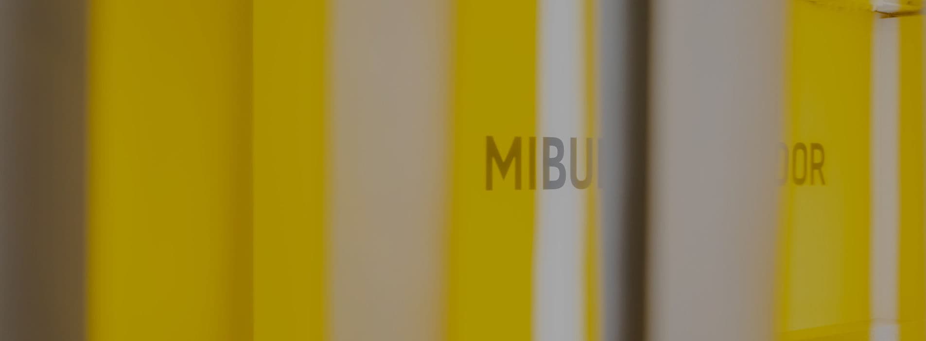 Main image of MIBURO BACKDOOR