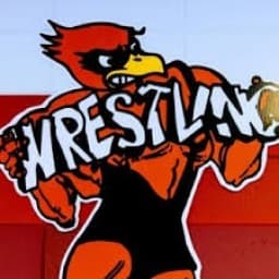 Michigan Center Young Cardinal logo