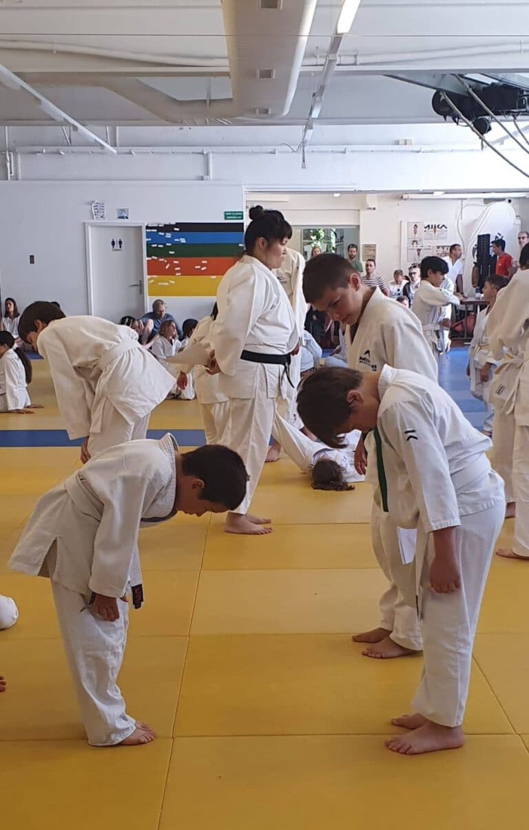 Mikami Judo Club logo