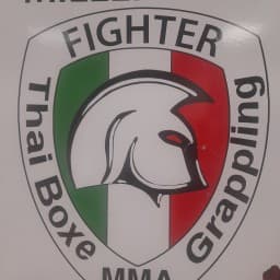 Millennium Fighter logo